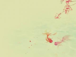 枣庄成人高考题解策略需要注意哪几点?(图1) 枣庄成人高考题解策略需要注意哪几点?(图1)