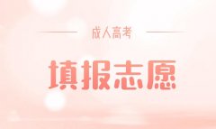 2020年山东省成人高考第一次志愿填报时间