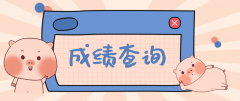 2020年山东省成人高考成绩查询入口