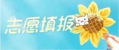 山东省成考填报志愿需注意哪些事项！