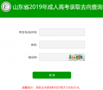 2019年山东省成人高考招生录取查询时间及入口