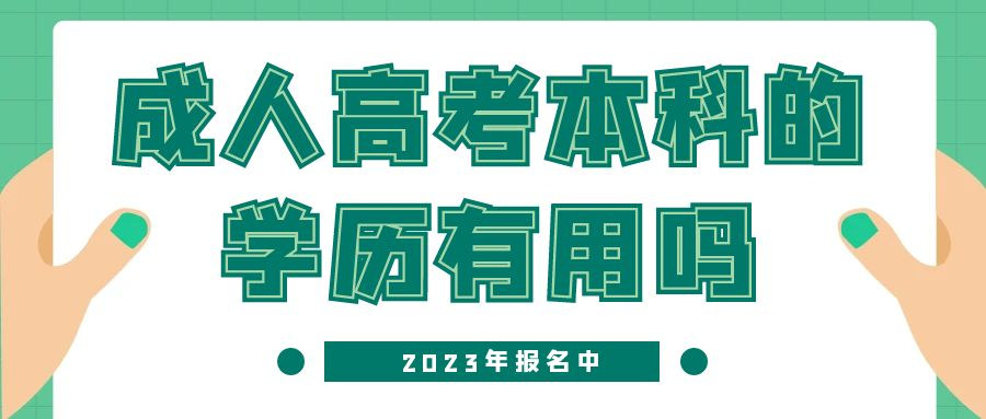 报考2023年山东省成人高考的本科学历有用吗