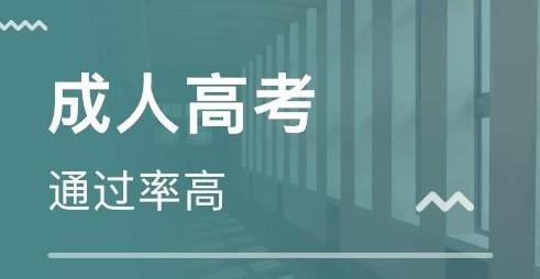 2023年山东成人高考咨询
