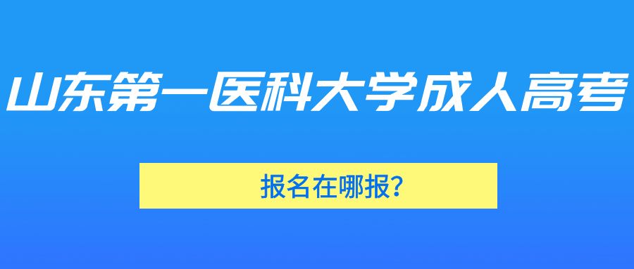 山东第一医科大学成人高考报名在哪报？