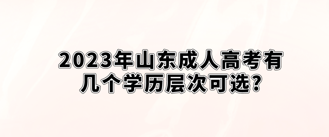 2023年山东成人高考有几个学历层次可选?