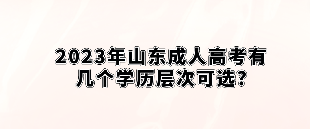 2023年山东成人高考有几个学历层次可选?(图1)