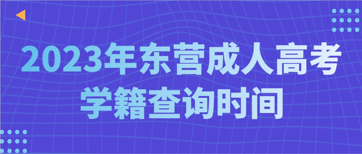 2023年东营成人高考学籍查询时间