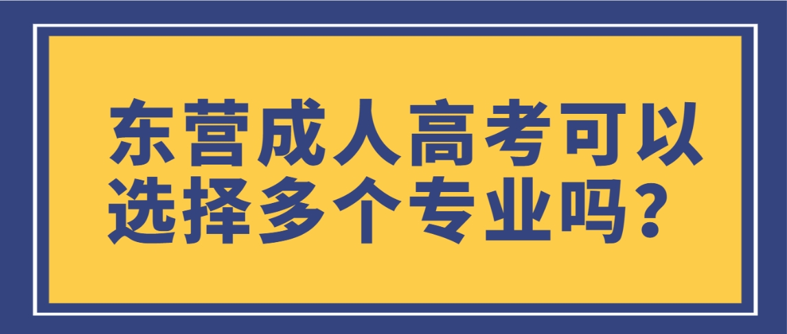 东营成人高考可以选择多个专业吗？