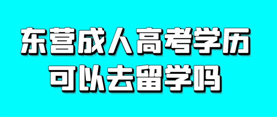 东营成人高考学历可以去留学吗?