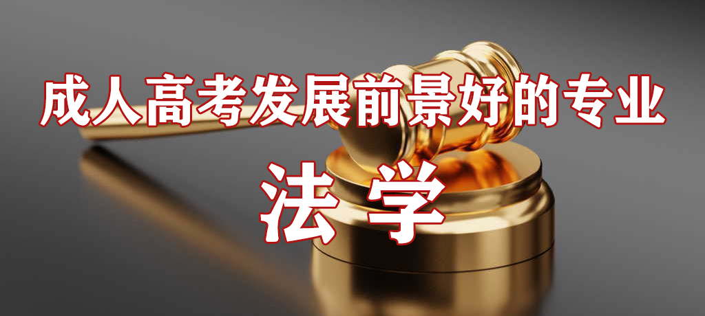 山东成人高考发展前景好的专业-法学