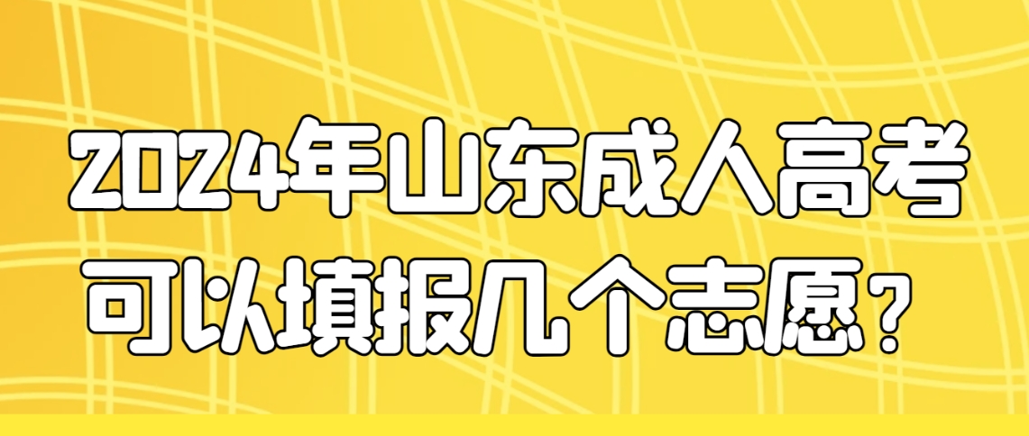 2024年山东成人高考可以填报几个志愿？