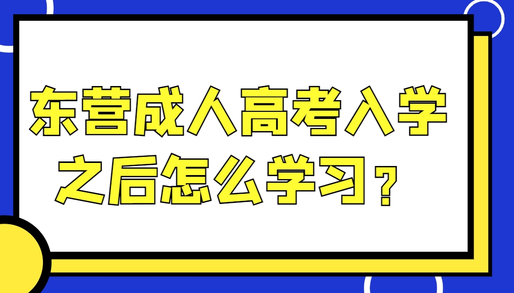 东营成人高考入学之后怎么学习？(1)