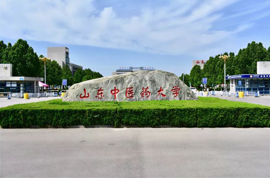 2026年山东中医药大学成人高等学历教育招生简章(2)