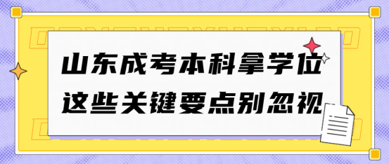 山东成考本科拿学位，这些关键要点别忽视(1)