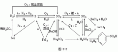 【山东省成人高考】高起点化学复习资料--知识结构